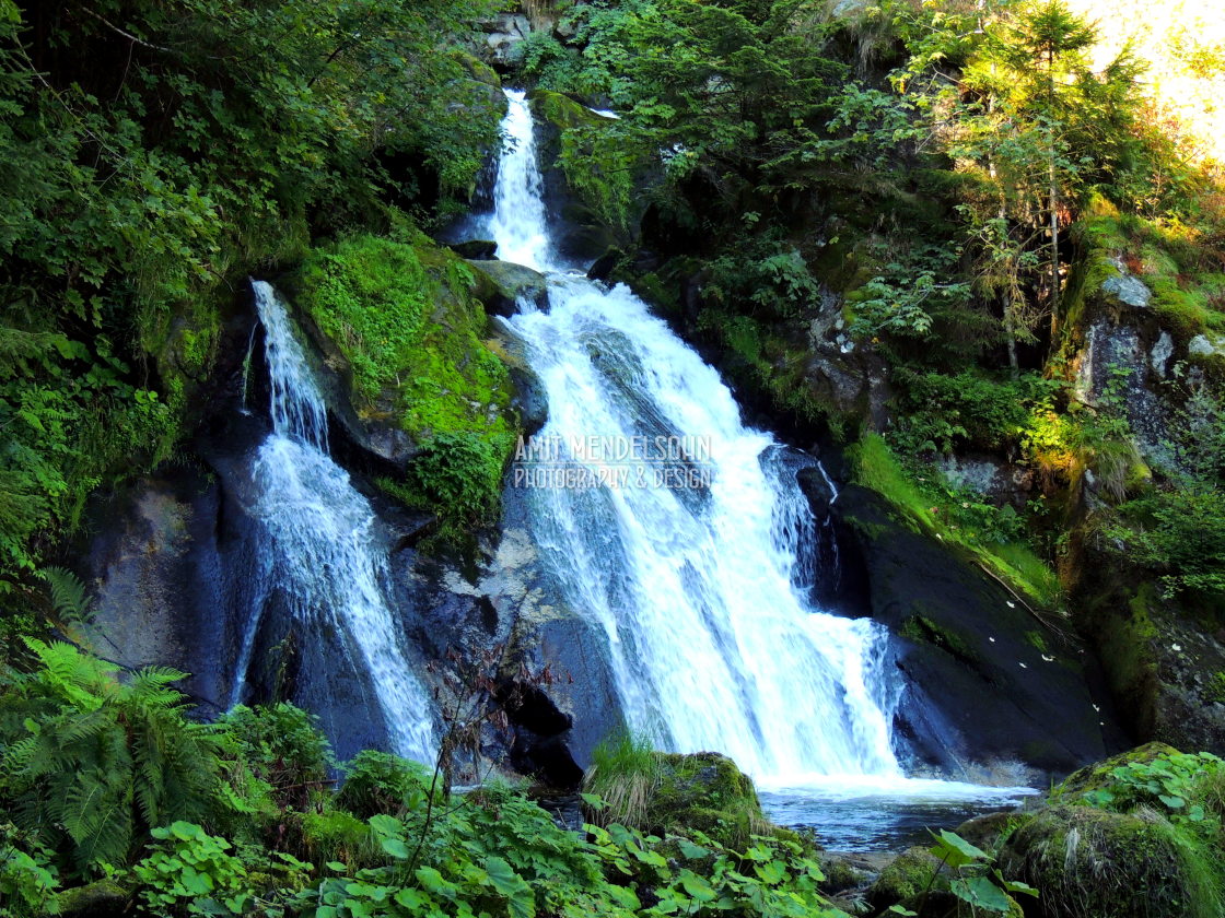 "Germany - the black forest - water falls" stock image