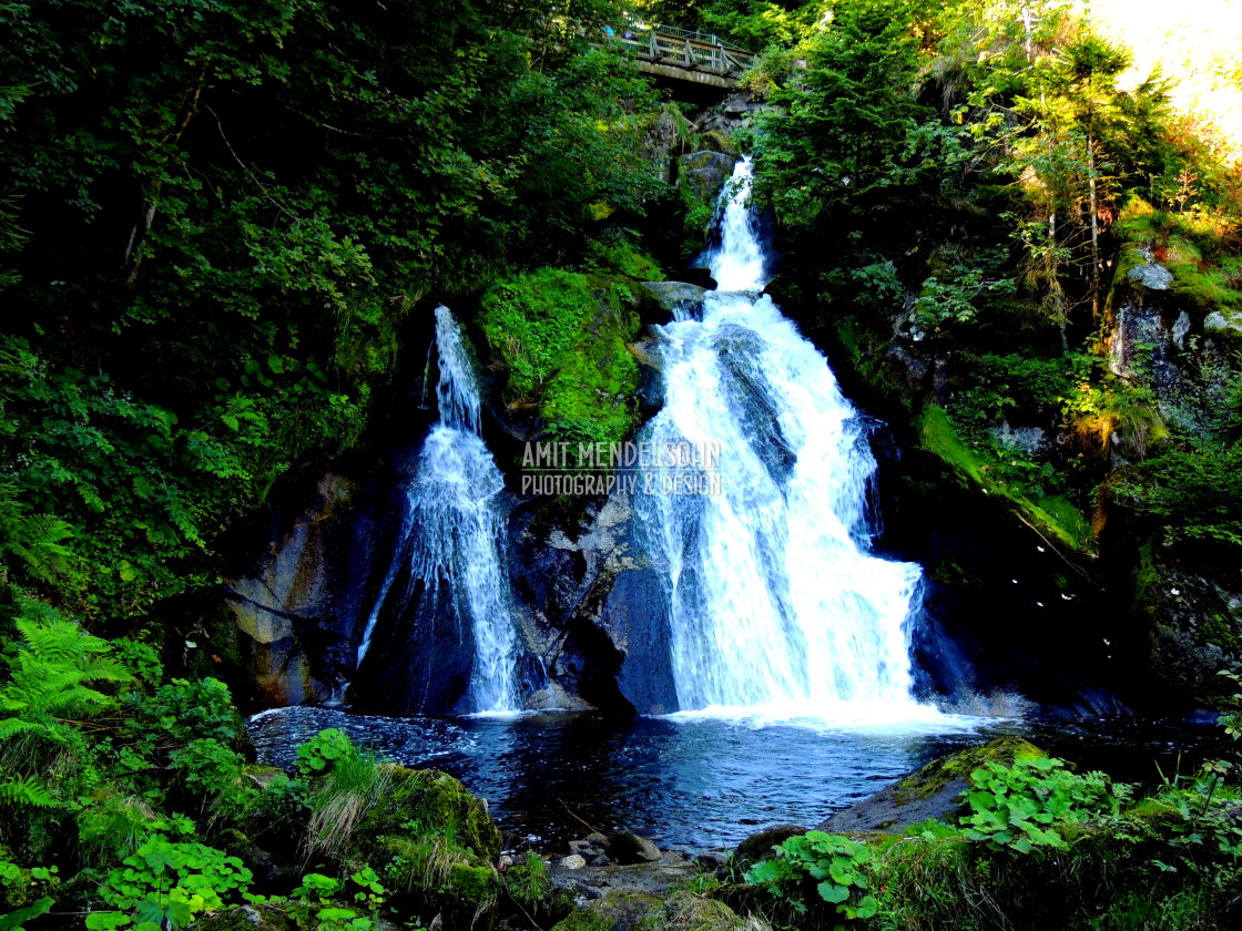 "The black forest - waterfalls" stock image