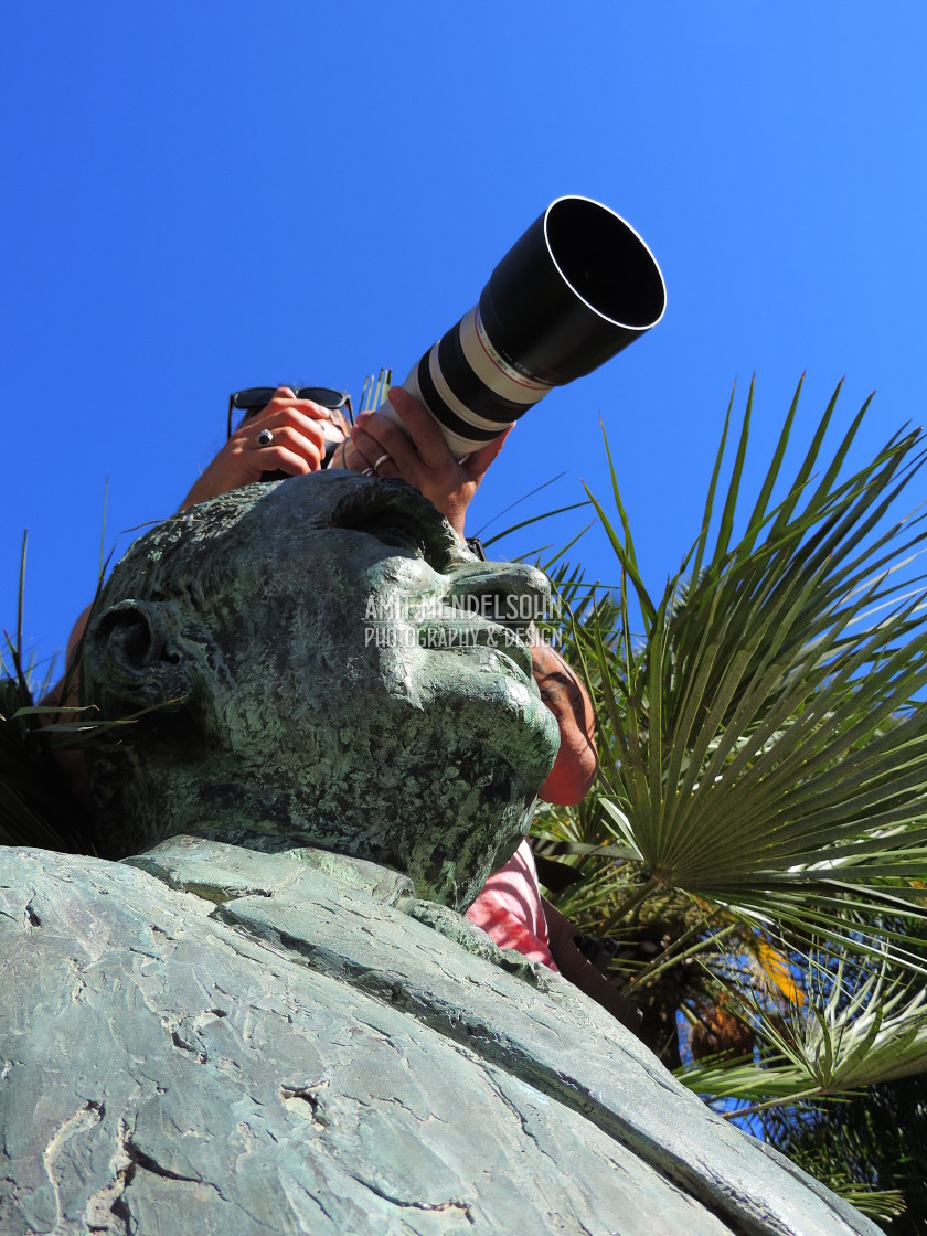 "Paparazzi on the hide" stock image