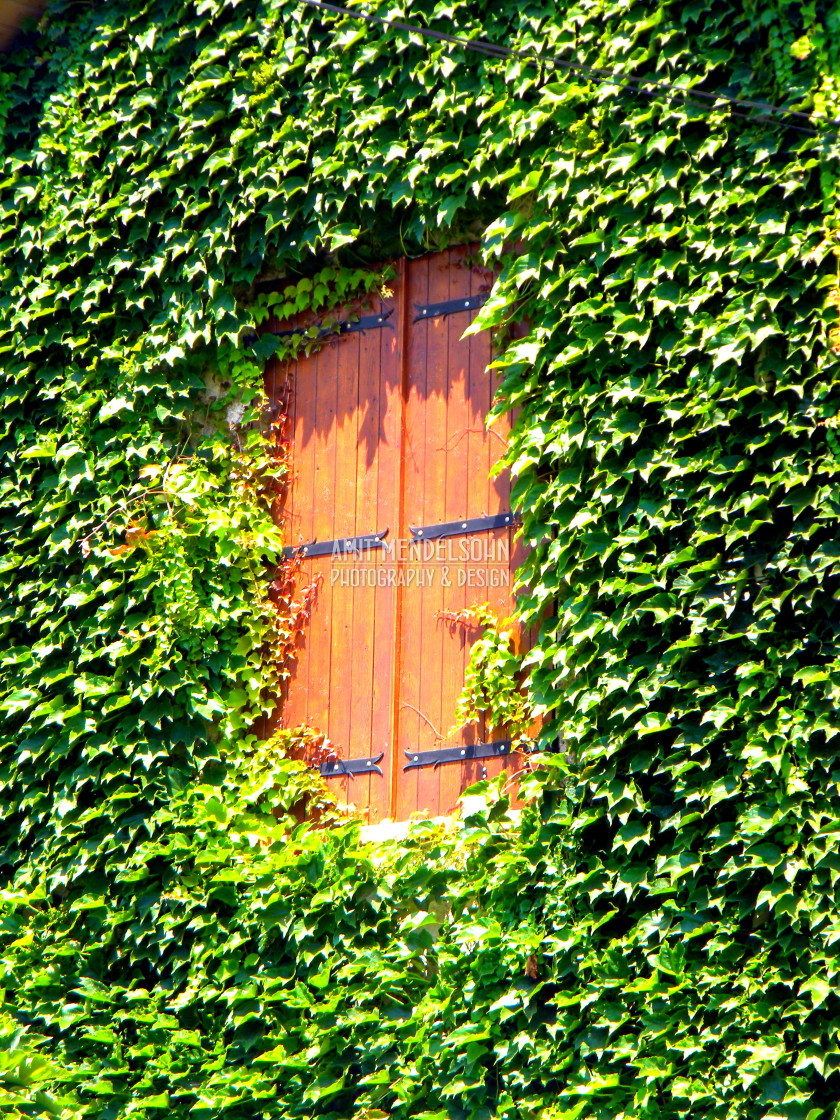 "Window covered" stock image