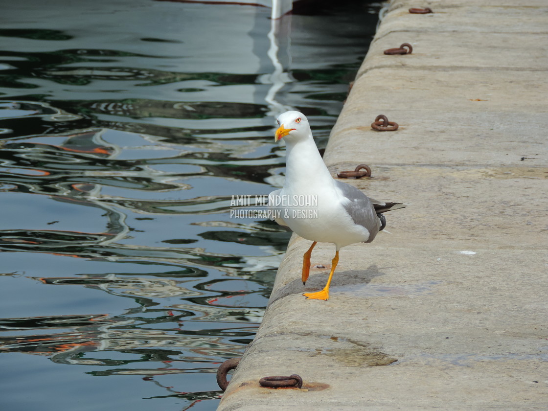 "Walking on the port" stock image