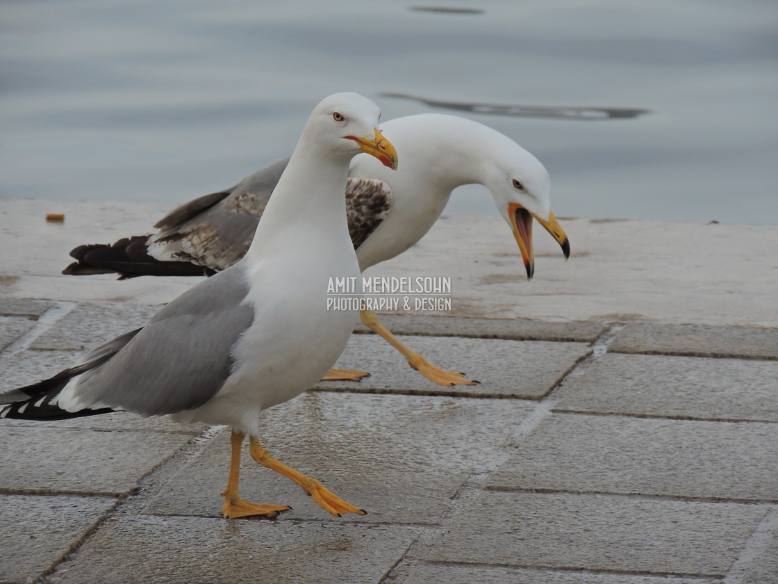 "Walking and talking" stock image