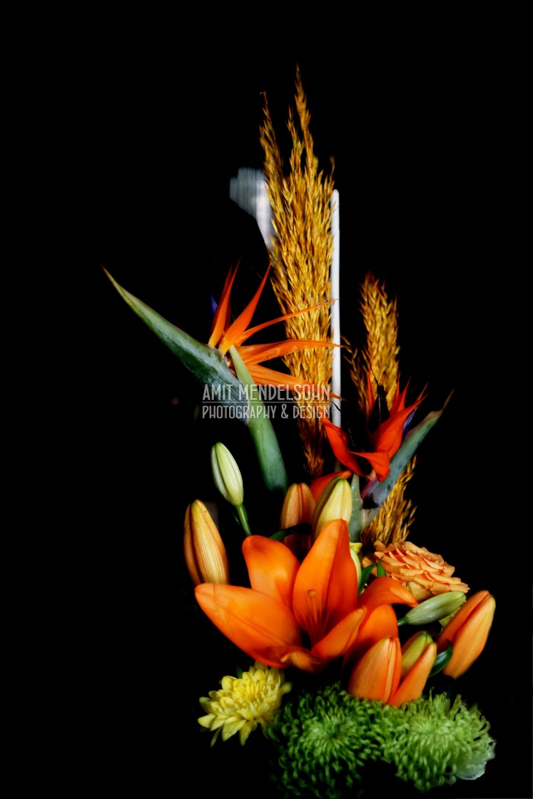 "Colourful flower arrangement" stock image