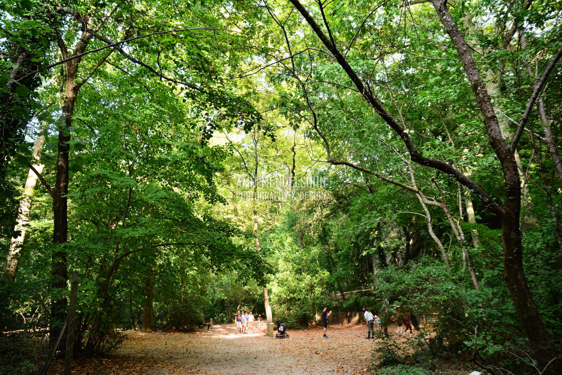 "Park saint pons" stock image