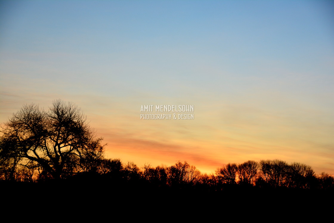 "Sunset above the trees" stock image