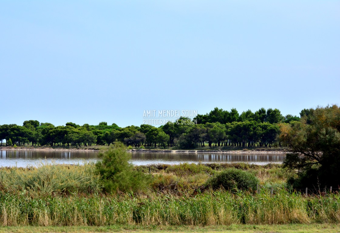 "The Camargue" stock image