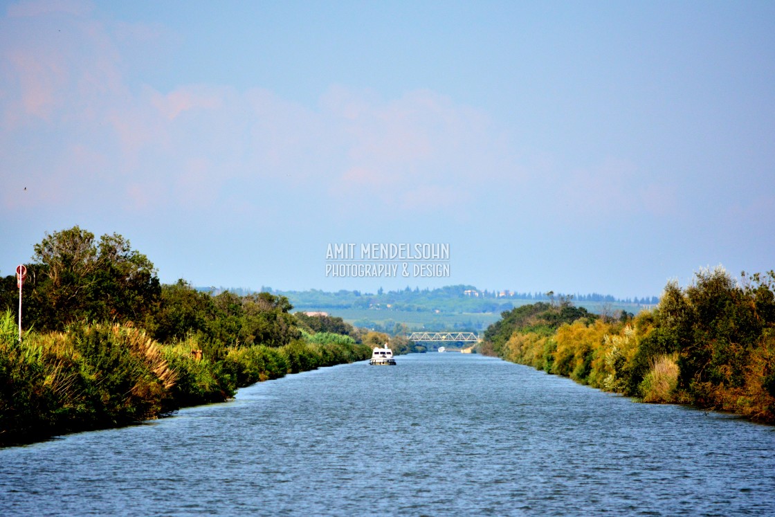 "Water way in the camargue" stock image