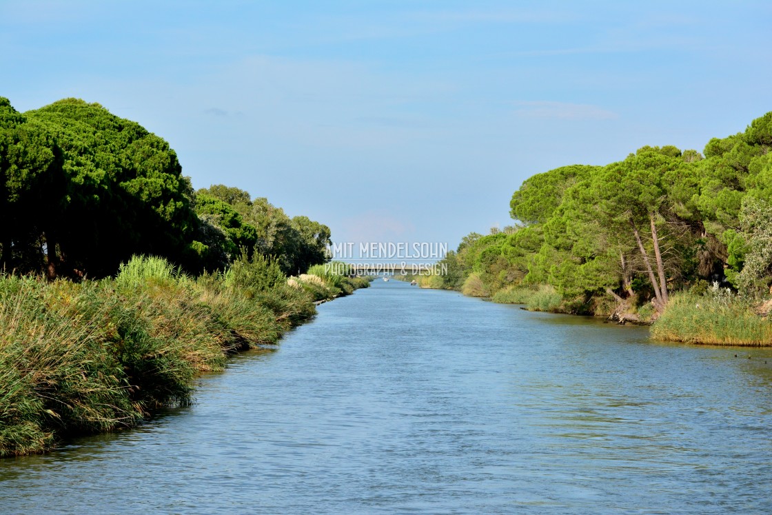 "Water way in the Camargue" stock image