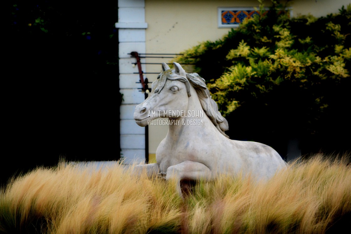 "a statue of horse - Camargue" stock image