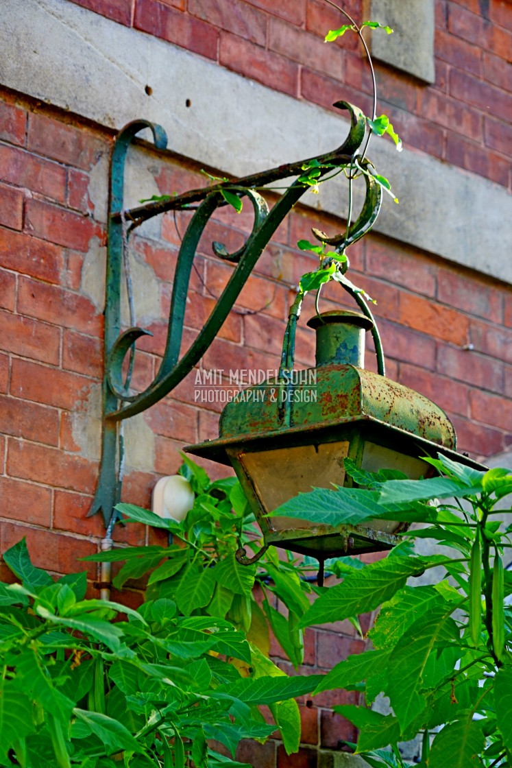 "Wall lamp" stock image