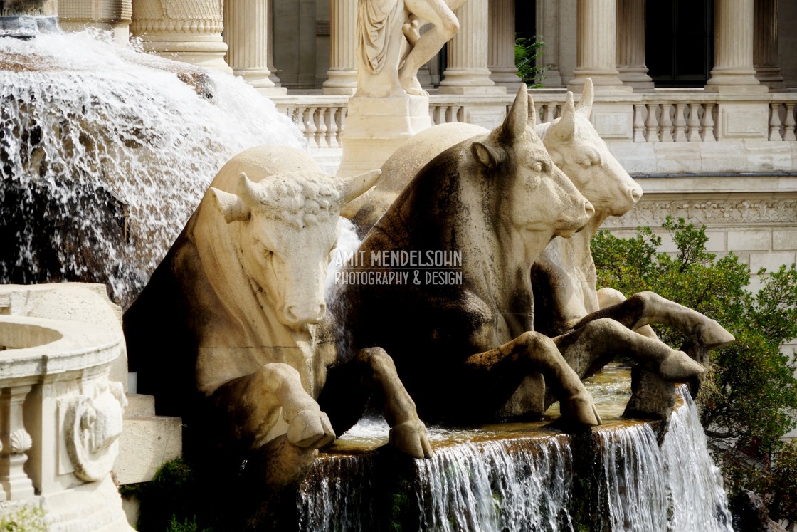 "The bulls - fountain of the longchamp palace" stock image