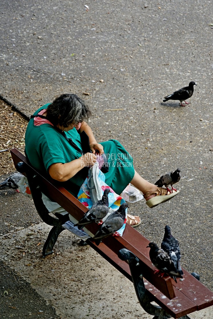 "The pigeon woman" stock image