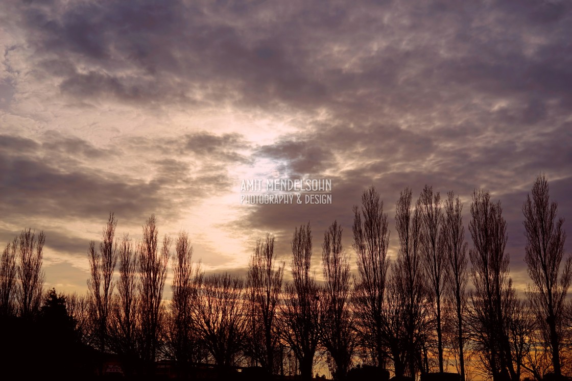 "park Borely - the sky" stock image