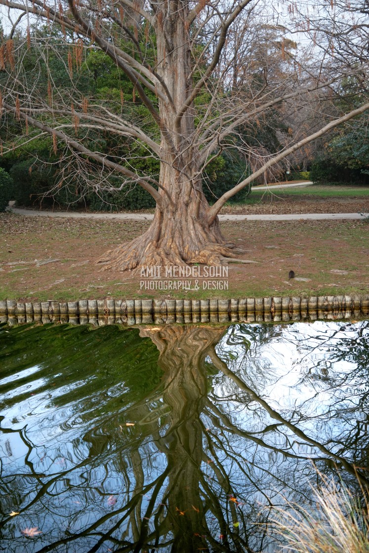 "wavy reflection" stock image