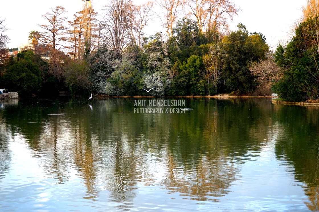 "the lake in park Borely" stock image