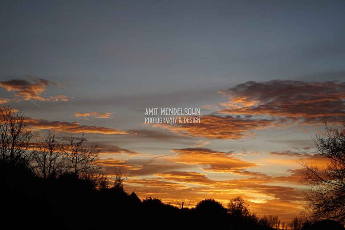 "sunset above the park" stock image