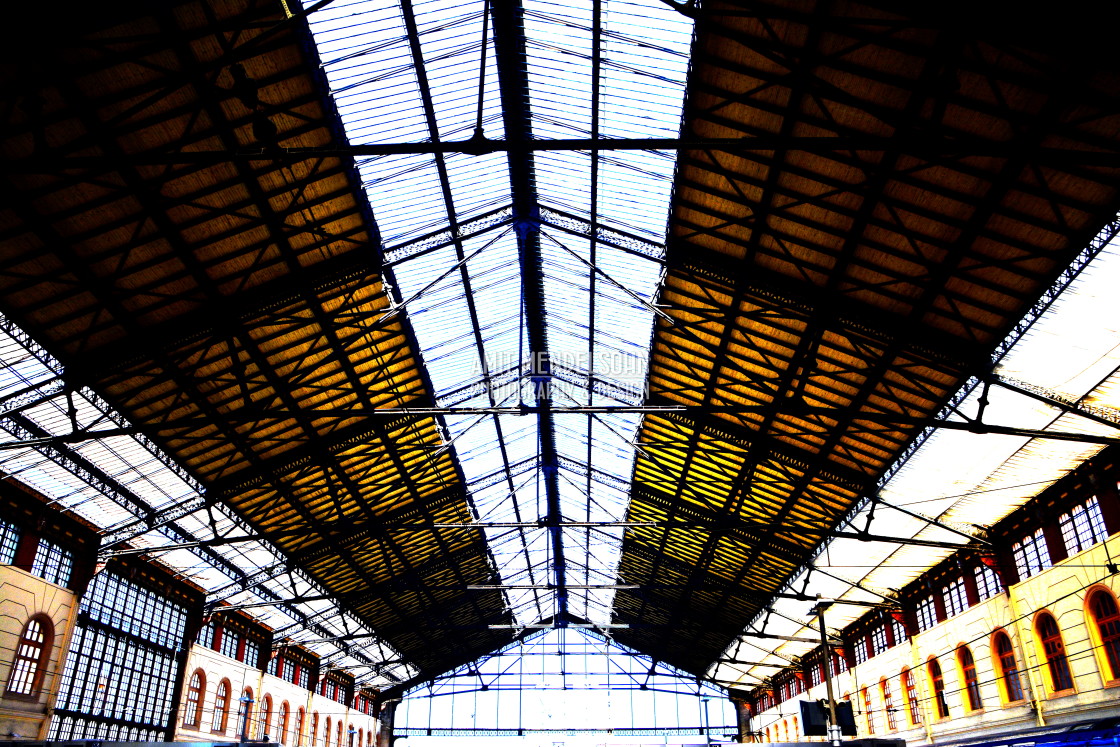 "St Charles train station main hall" stock image