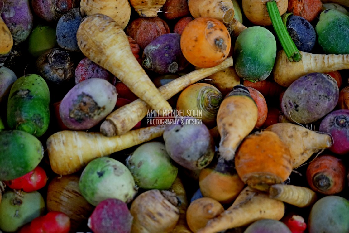 "roots vegetables" stock image