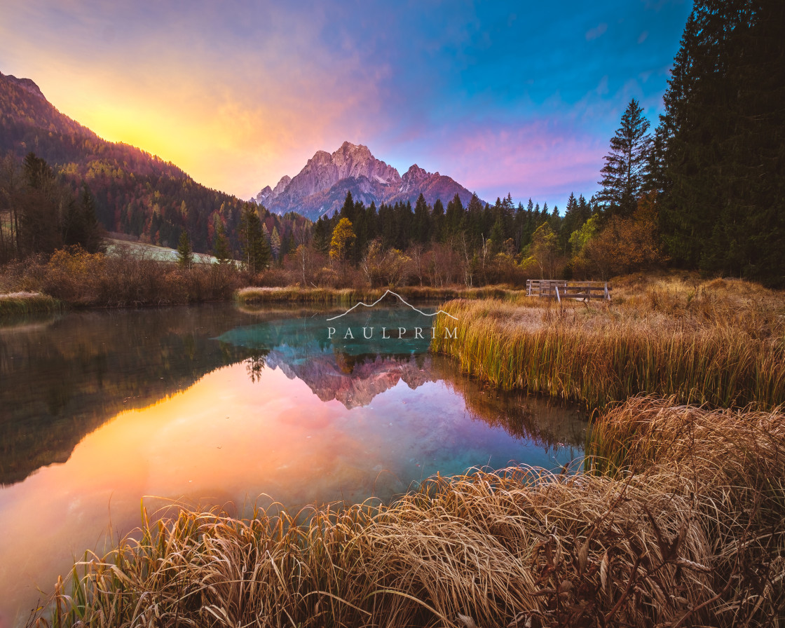 "Zelenci Lake" stock image