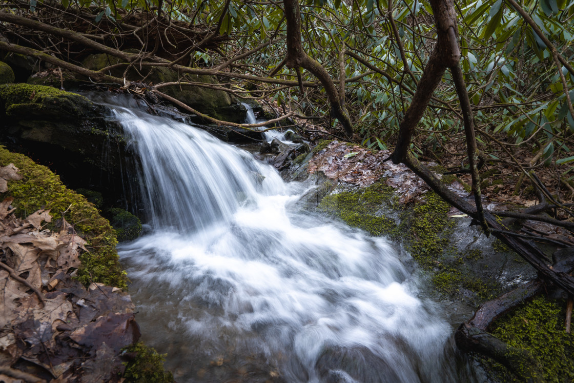 "fast flowing waterfall through an overgrown forest canyon" by Justin Mueller - £10.00 "fast flowing waterfall through an overgrown forest canyon" stock image