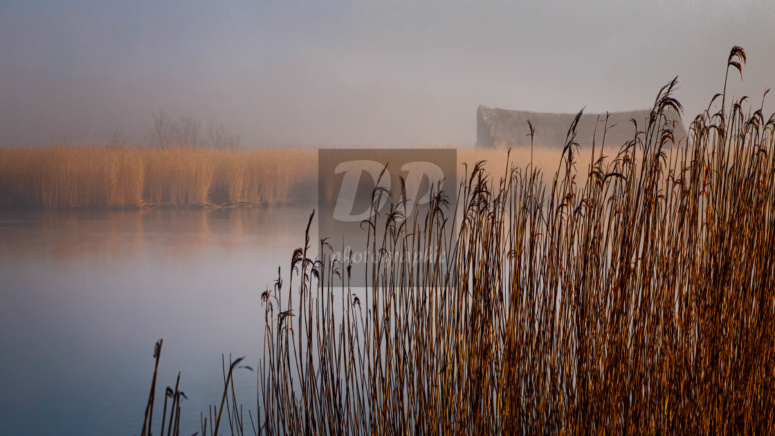 "Clearing Mist Over Horsey Mere" stock image