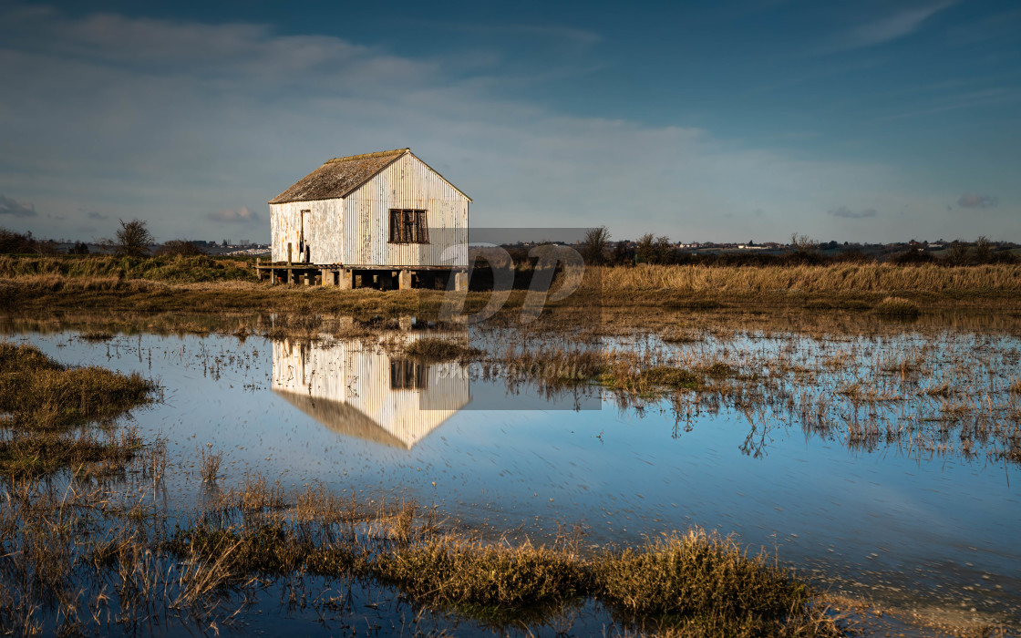 "Reflections at Lion Creek Essex" stock image