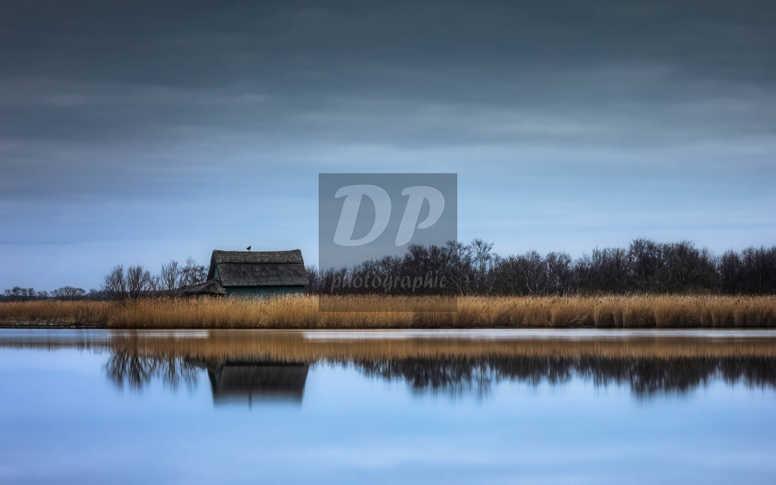 "Early Morning Reflections on Horsey Mere" stock image