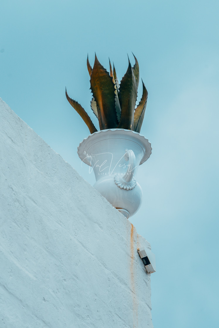 "Flowers arrangement in Ostuni, Italy" stock image