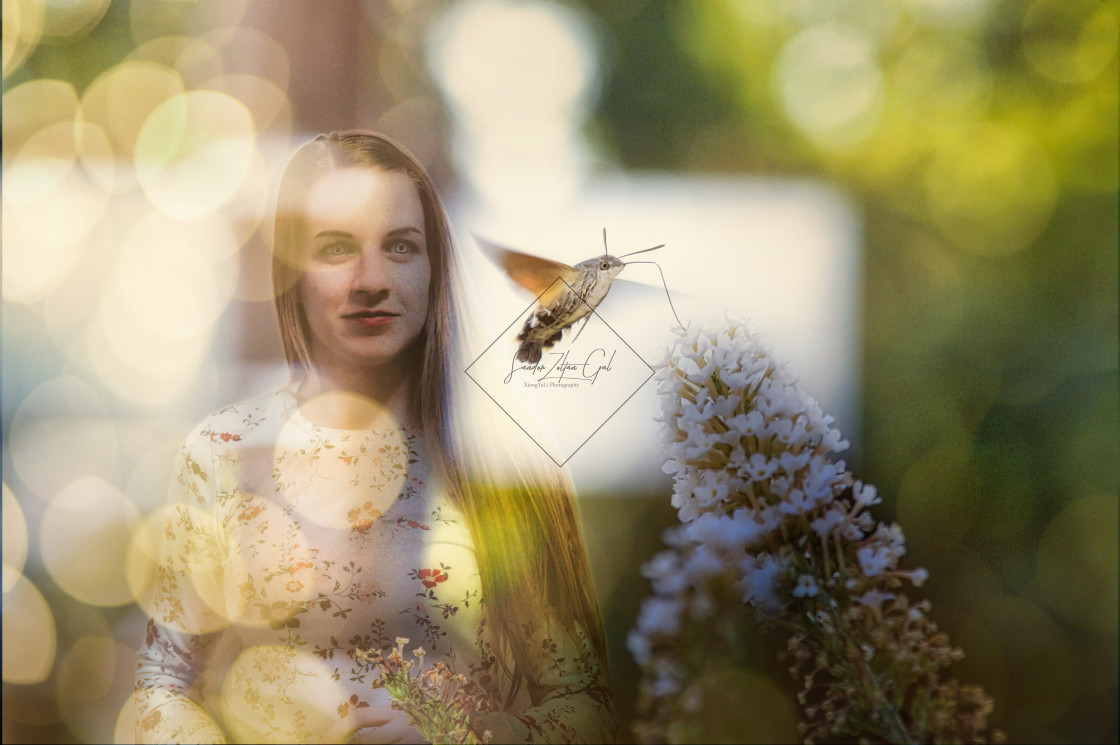 "Spring Fairy" by Sandor Zoltan Gal - $3.64 "Spring Fairy" stock image