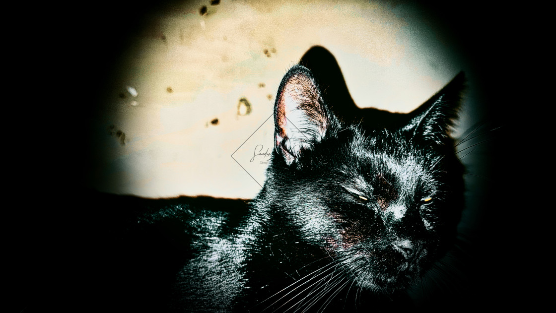 "XYL-landiai Lucifer" by Sandor Zoltan Gal - $3.64 "XYL-landiai Lucifer" stock image