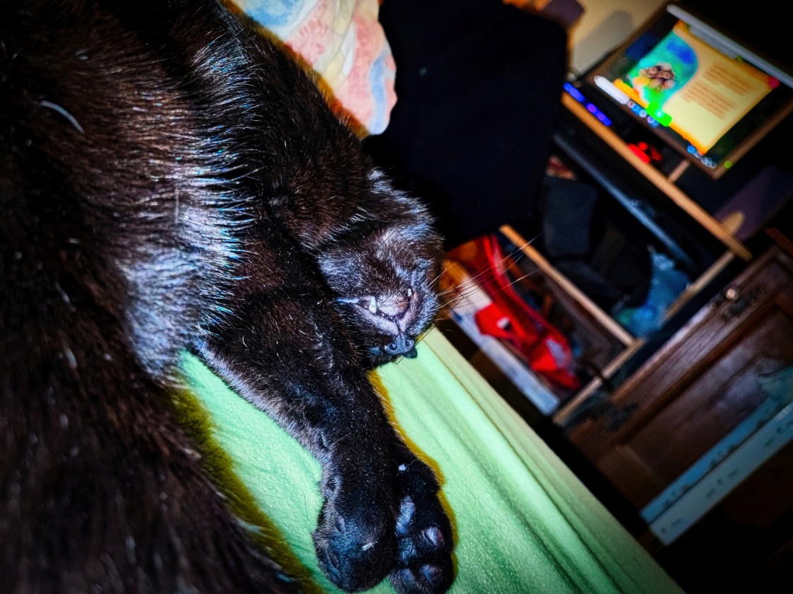 "Lucifer is sleeping 002" by Sandor Zoltan Gal - $3.64 "Lucifer is sleeping 002" stock image