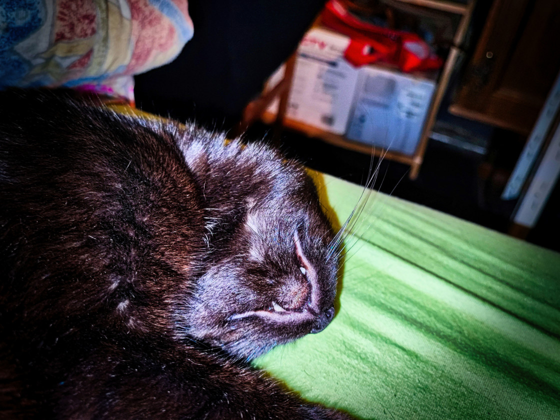 "Lucifer is sleeping 001" by Sandor Zoltan Gal - $3.64 "Lucifer is sleeping 001" stock image