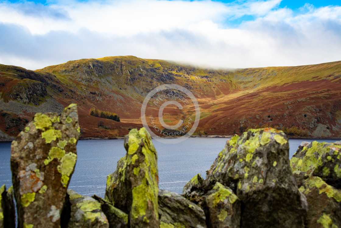 "Looking through the stone wall into RSPB Hawswater Cumbria" by Melrose Photography - £10.00 "Looking through the stone wall into RSPB Hawswater Cumbria" stock image