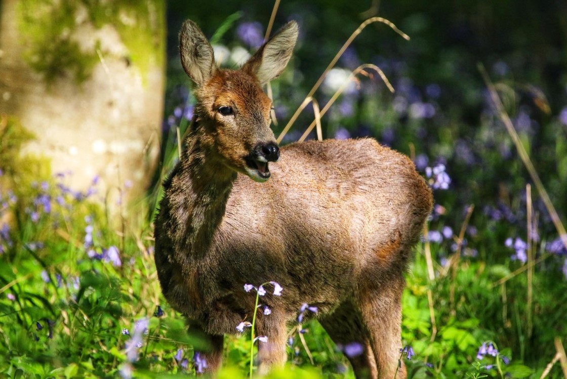 "Saying hello" stock image