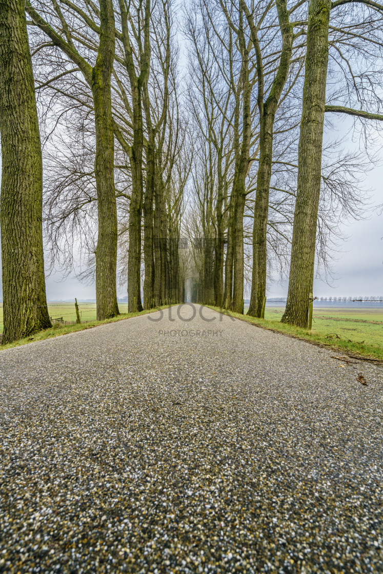 "Endless road six" by TTStock - $4.88 "Endless road six" stock image
