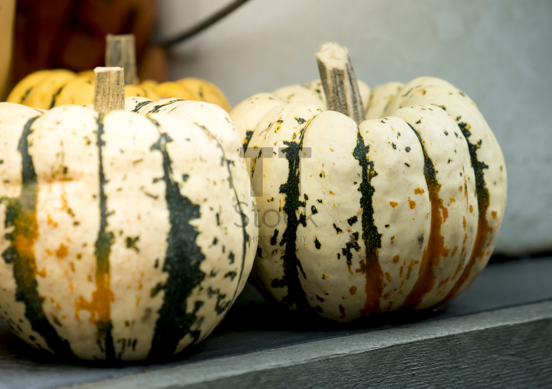 "Small pumpkins on a wooden table on display outside a shop." by TTStock - $4.88 "Small pumpkins on a wooden table on display outside a shop." stock image