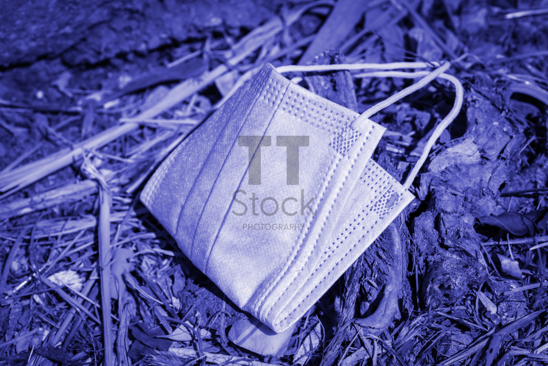 "Disgarden face-covering in PANTONE 17-3938 Very Peri colour" by TTStock - $5.05 "Disgarden face-covering in PANTONE 17-3938 Very Peri colour" stock image