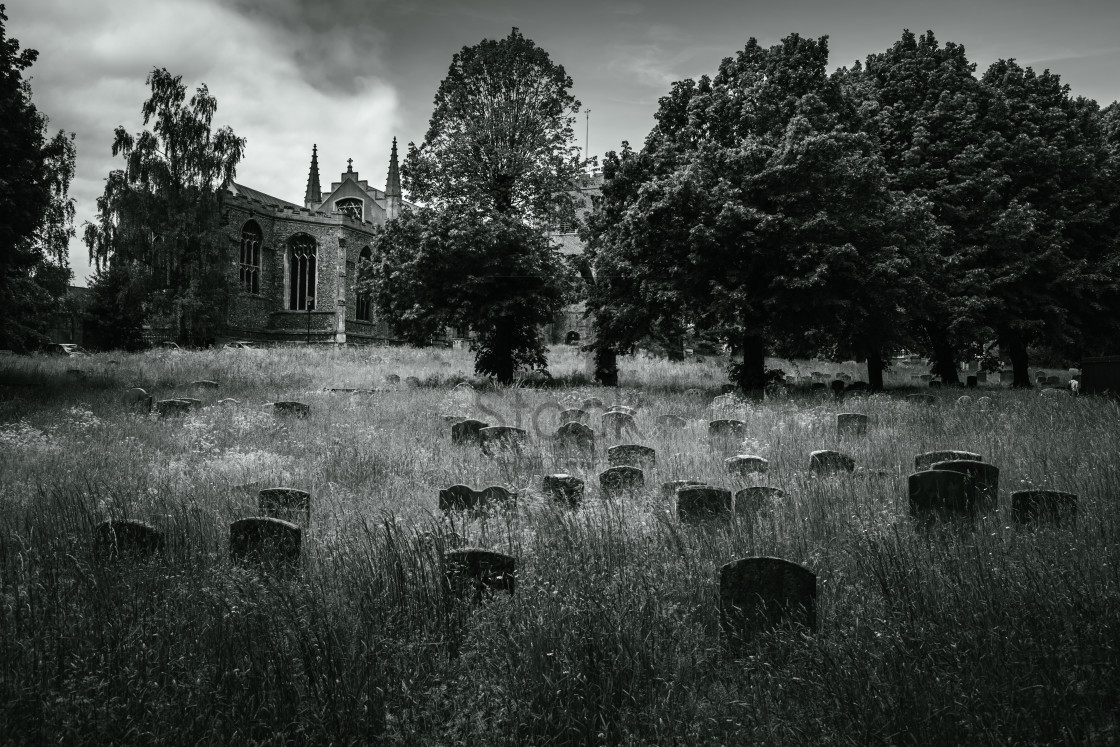 "Black & White England - St Mary's Church And Graveyard In Bury St Edmunds" by TTStock - $18.36 "Black & White England - St Mary's Church And Graveyard In Bury St Edmunds" stock image