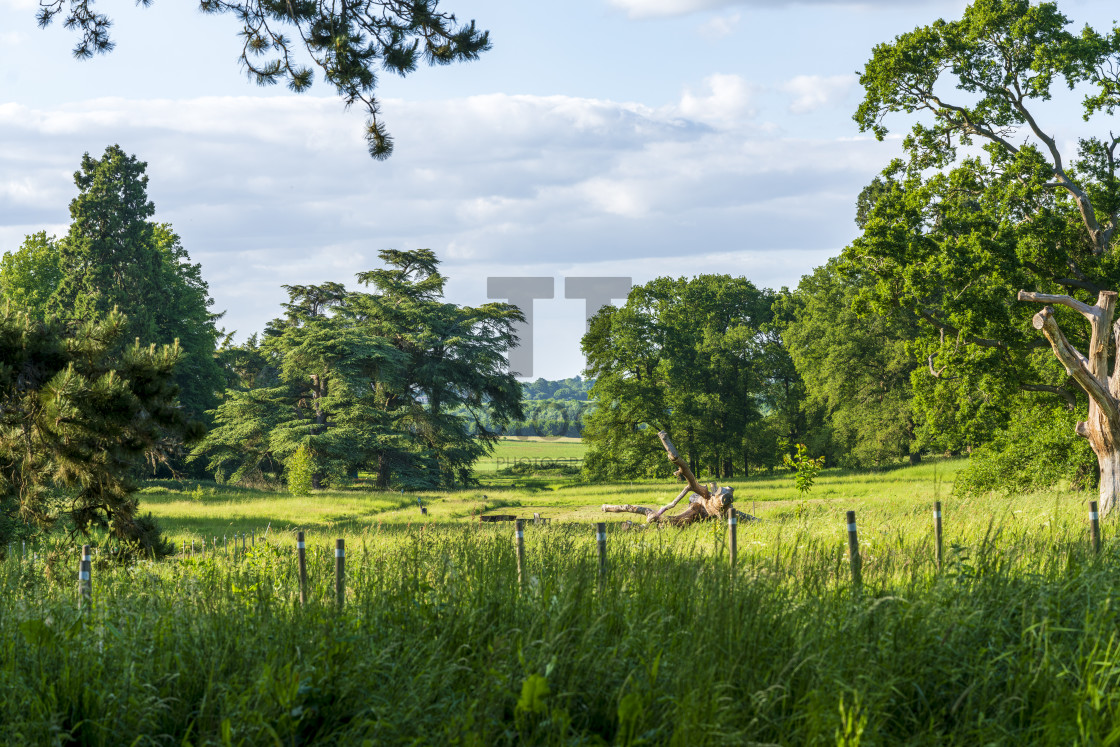 "English countryside view into the distance" by TTStock - $5.05 "English countryside view into the distance" stock image