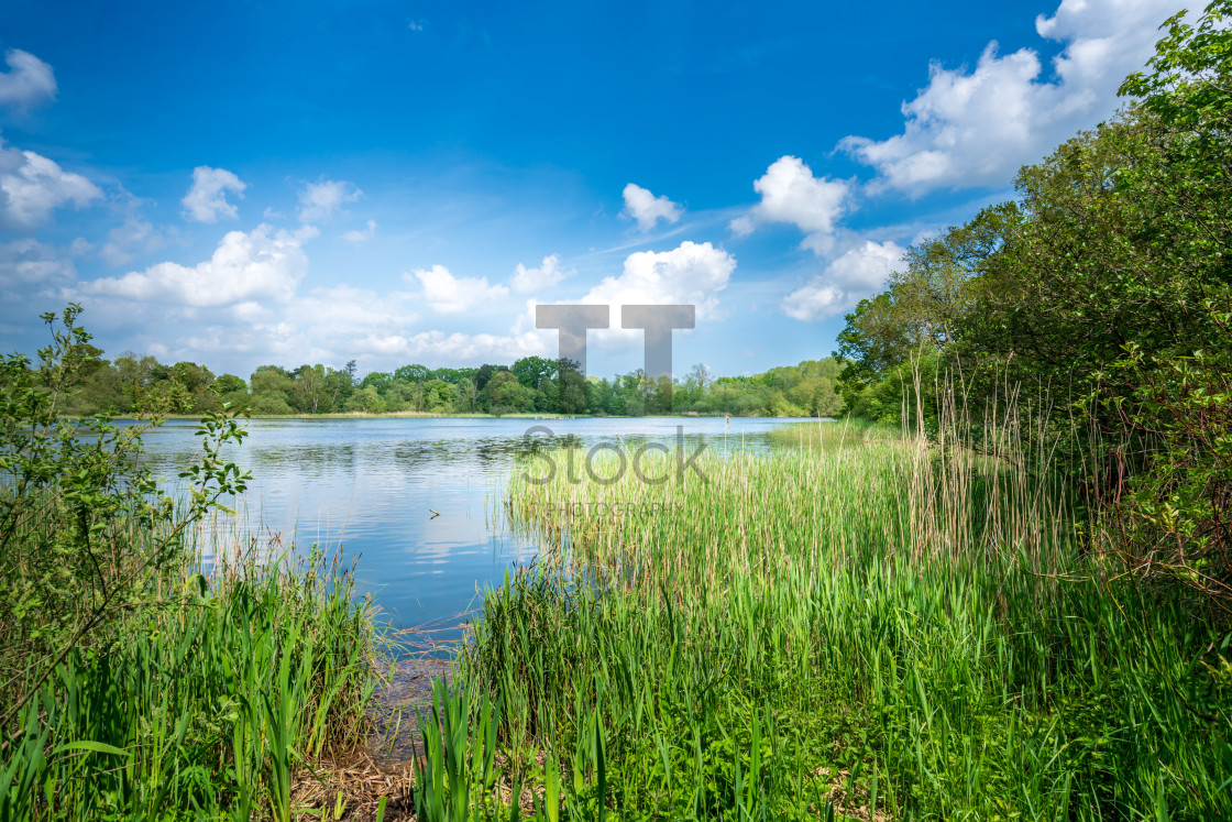 "Fairhaven Woodland & Water Garden" by TTStock - $3.79 "Fairhaven Woodland & Water Garden" stock image