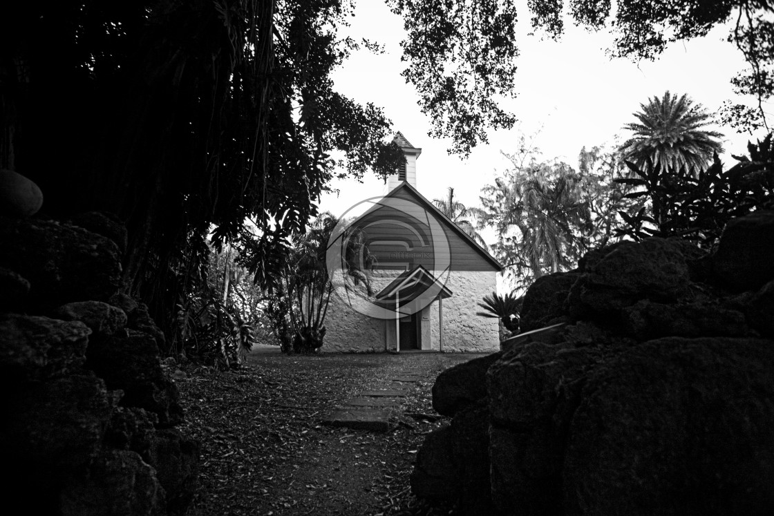 "Path to Palapala" by John Griffiths - £25.00 "Path to Palapala" stock image