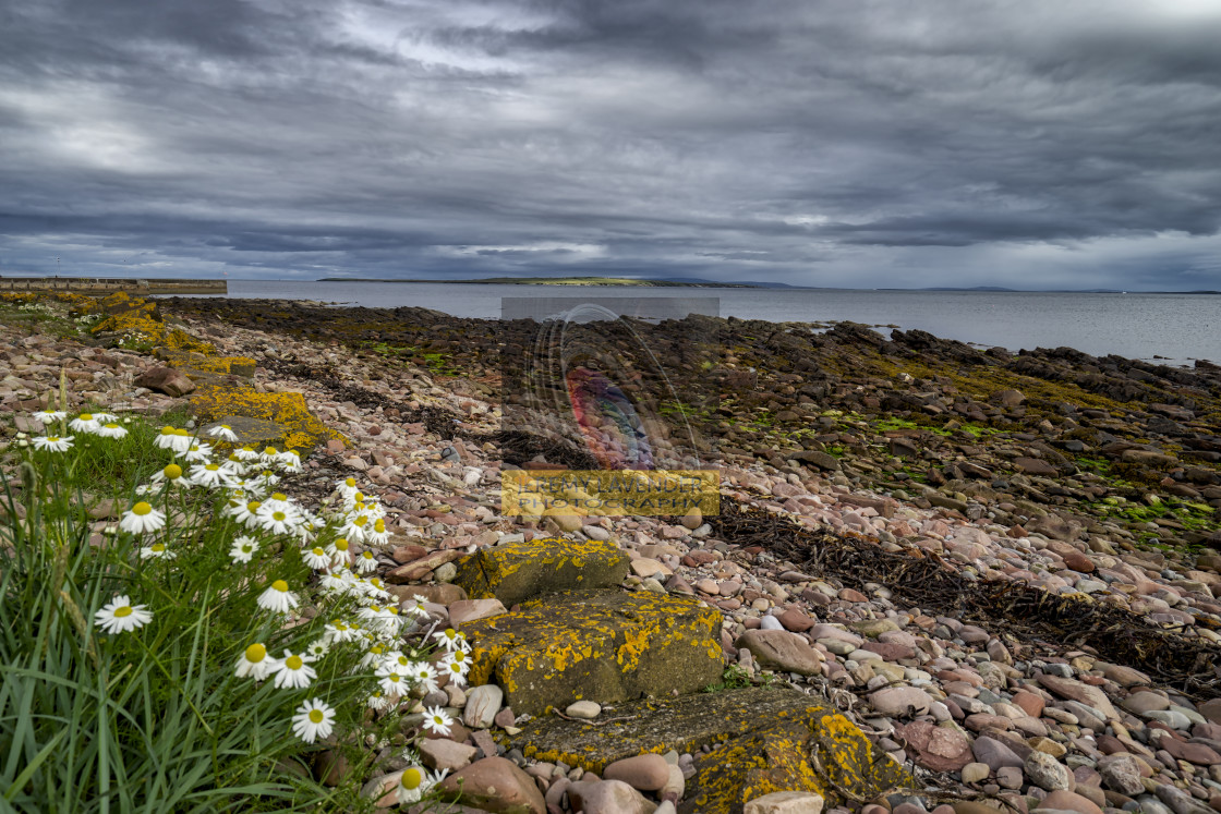 "Scottish Scenery" by Jeremy Lavender Photography - $37.01 "Scottish Scenery" stock image
