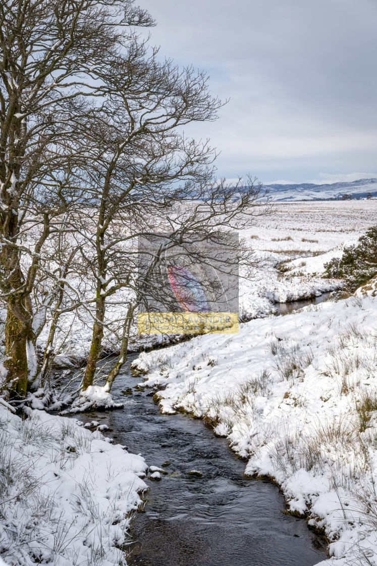 "Winter in the Ochill Hills" by Jeremy Lavender Photography - $37.01 "Winter in the Ochill Hills" stock image