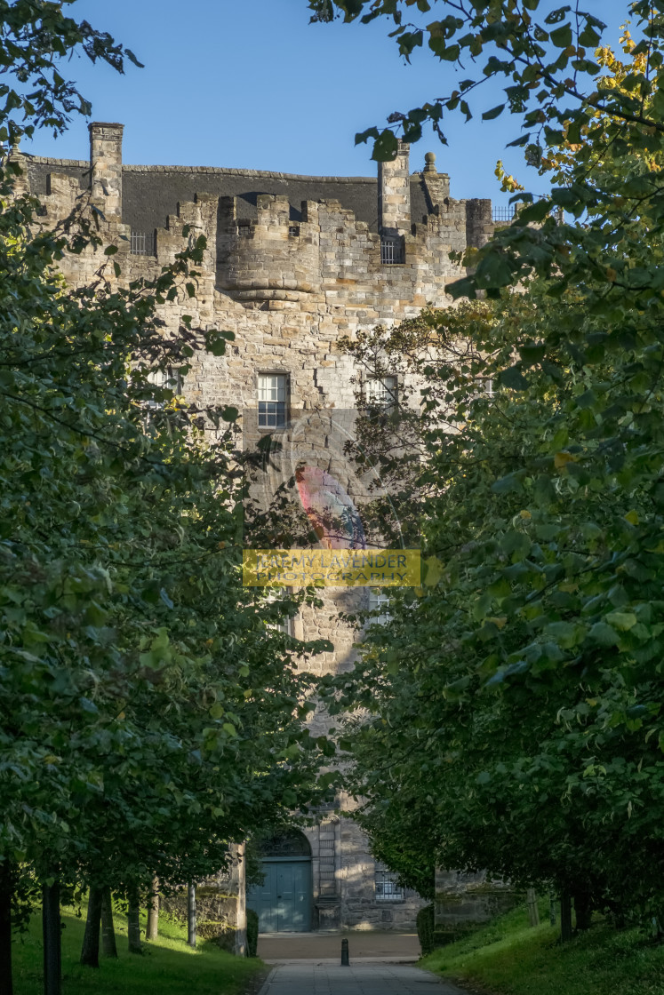 "Alloa Tower in Scotland" by Jeremy Lavender Photography - $37.01 "Alloa Tower in Scotland" stock image