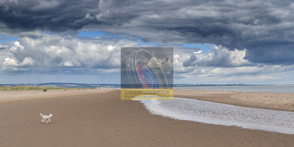 "Tentsmuir Beach in Scotland" by Jeremy Lavender Photography - $36.96 "Tentsmuir Beach in Scotland" stock image