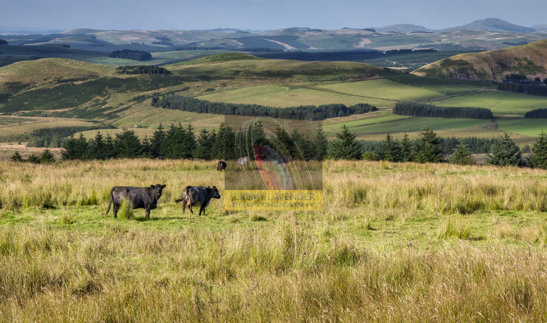 "Scotland view from England borders" by Jeremy Lavender Photography - $36.96 "Scotland view from England borders" stock image