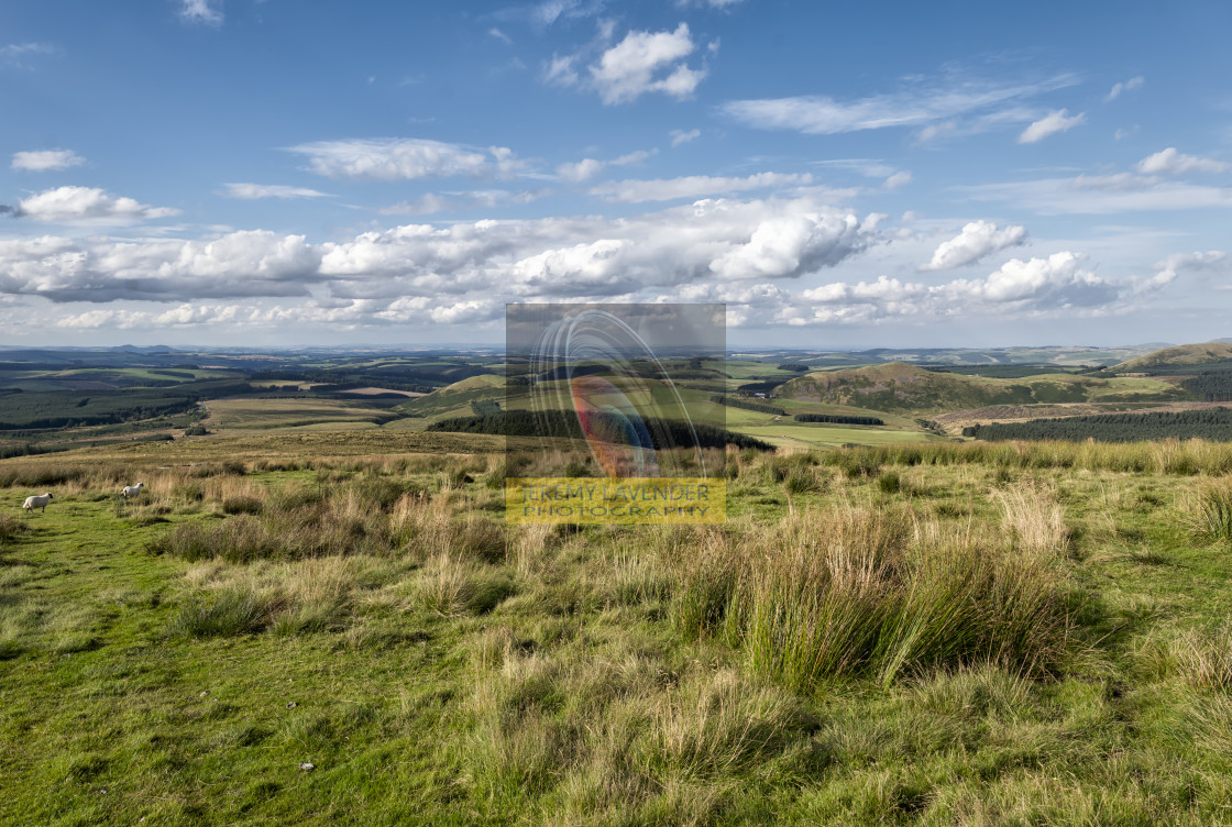 "Scotland view from England borders" by Jeremy Lavender Photography - $36.96 "Scotland view from England borders" stock image