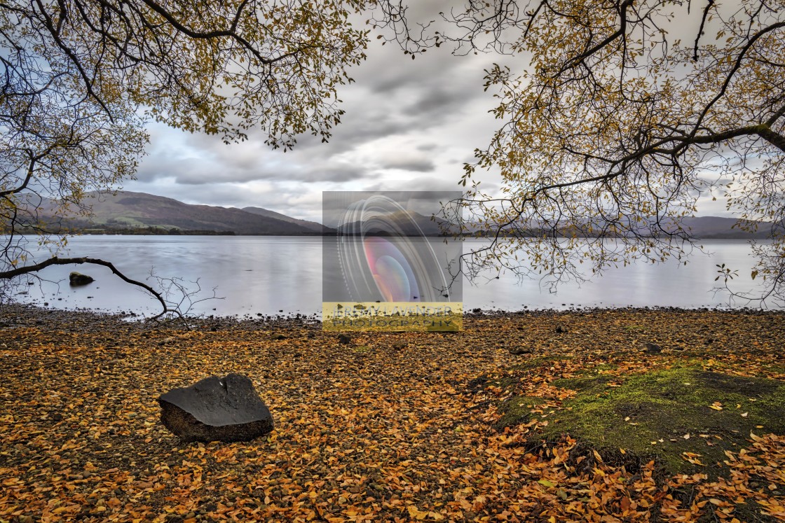 "Autumn scenery at Loch Lomond" by Jeremy Lavender Photography - $36.96 "Autumn scenery at Loch Lomond" stock image