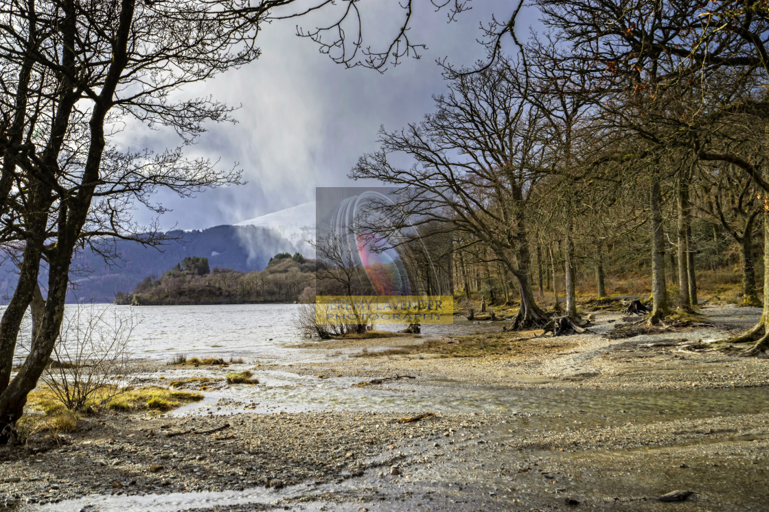 "Sallochy bay in The Trossachs" by Jeremy Lavender Photography - $36.96 "Sallochy bay in The Trossachs" stock image