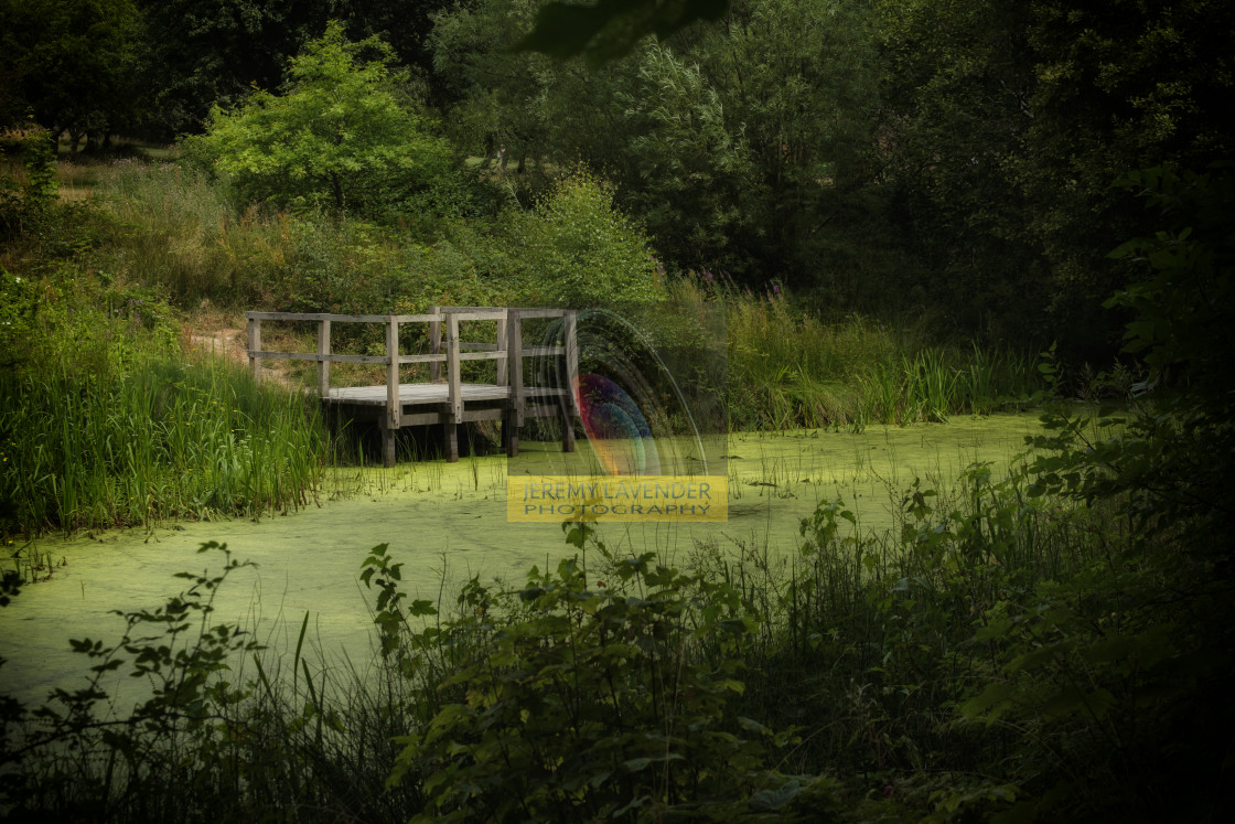 "The pond" by Jeremy Lavender Photography - $37.29 "The pond" stock image